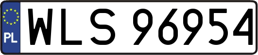 WLS96954