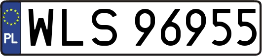 WLS96955