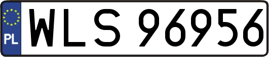 WLS96956