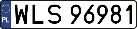 WLS96981