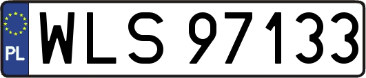 WLS97133