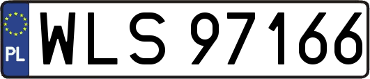 WLS97166