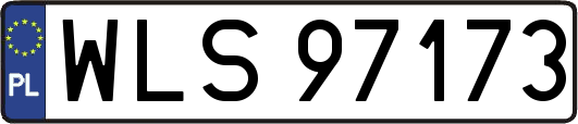 WLS97173