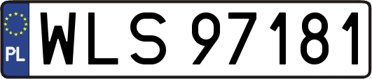 WLS97181