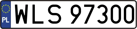 WLS97300