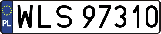 WLS97310