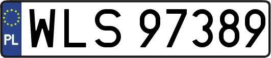WLS97389