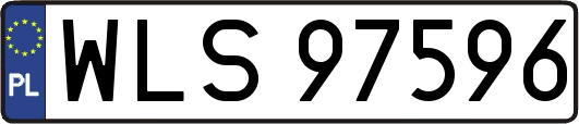 WLS97596
