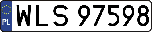 WLS97598