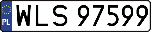 WLS97599