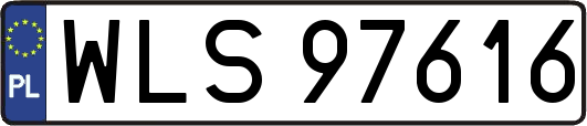 WLS97616
