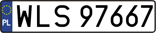 WLS97667