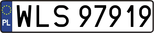 WLS97919