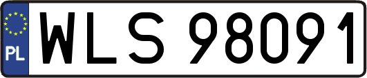 WLS98091