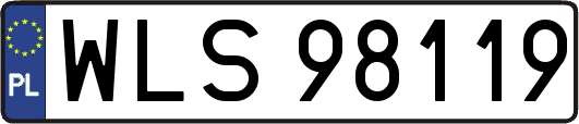 WLS98119