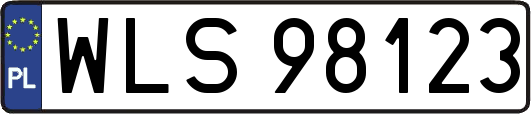 WLS98123