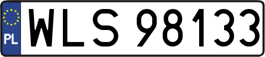WLS98133