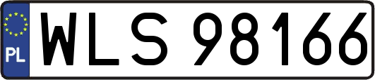 WLS98166
