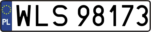 WLS98173