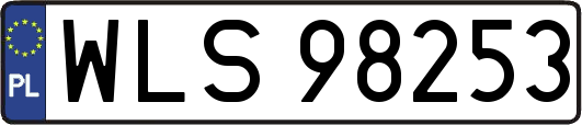 WLS98253