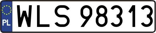 WLS98313
