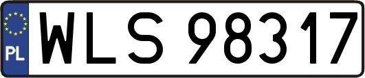 WLS98317