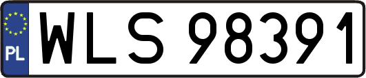 WLS98391
