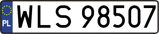 WLS98507