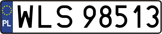 WLS98513