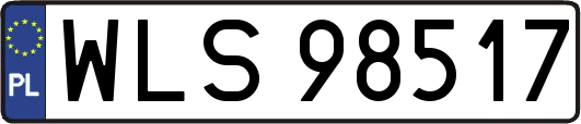 WLS98517