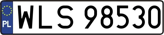 WLS98530