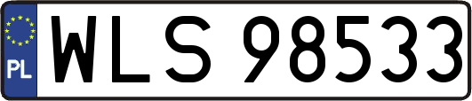 WLS98533