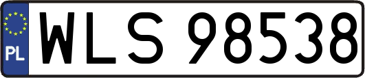 WLS98538