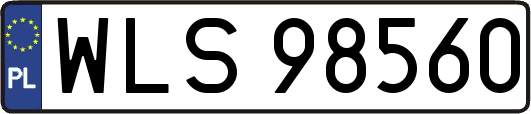WLS98560