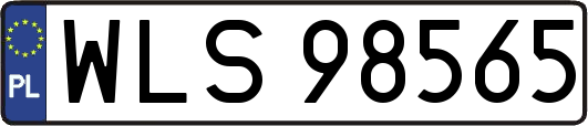 WLS98565