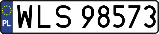 WLS98573