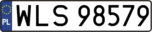 WLS98579