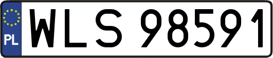 WLS98591