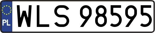WLS98595