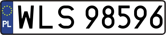 WLS98596