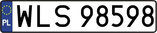 WLS98598