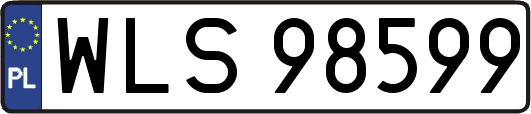 WLS98599