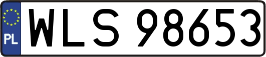 WLS98653