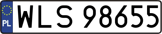 WLS98655