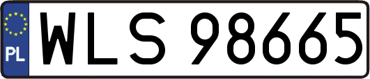 WLS98665