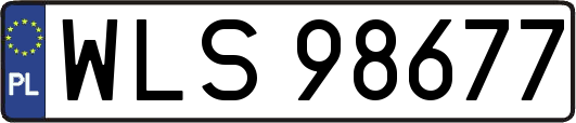 WLS98677