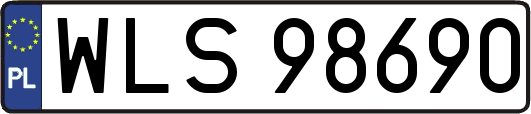 WLS98690
