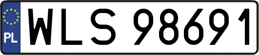 WLS98691