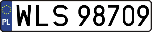 WLS98709