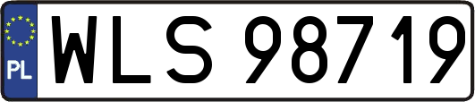 WLS98719